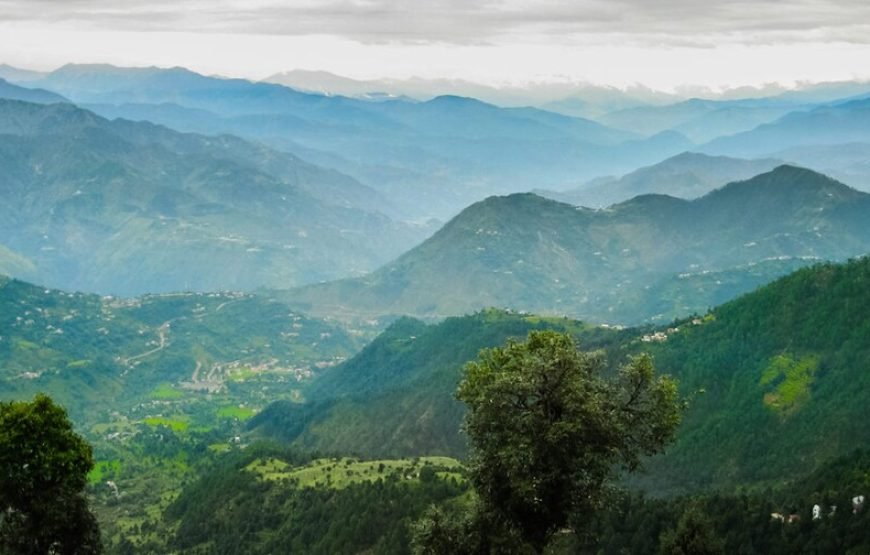 2 Shimla – 3 Manali – 2 Dalhousie – 1 Amritsar Ex Delhi