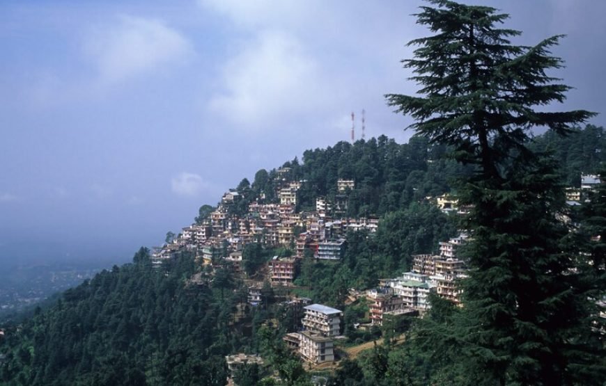 2 Dharamshala – 2 Dalhousie – 1 Amritsar Ex Delhi