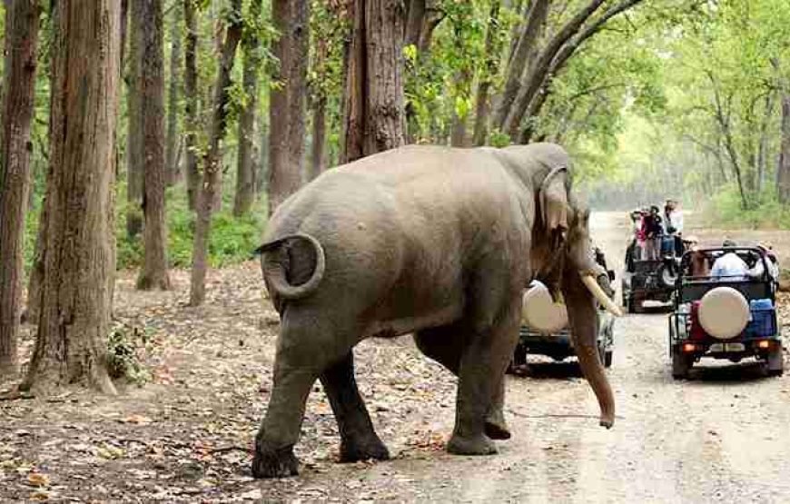 2 Nainital – 1 Corbett – 2 Mussoorie