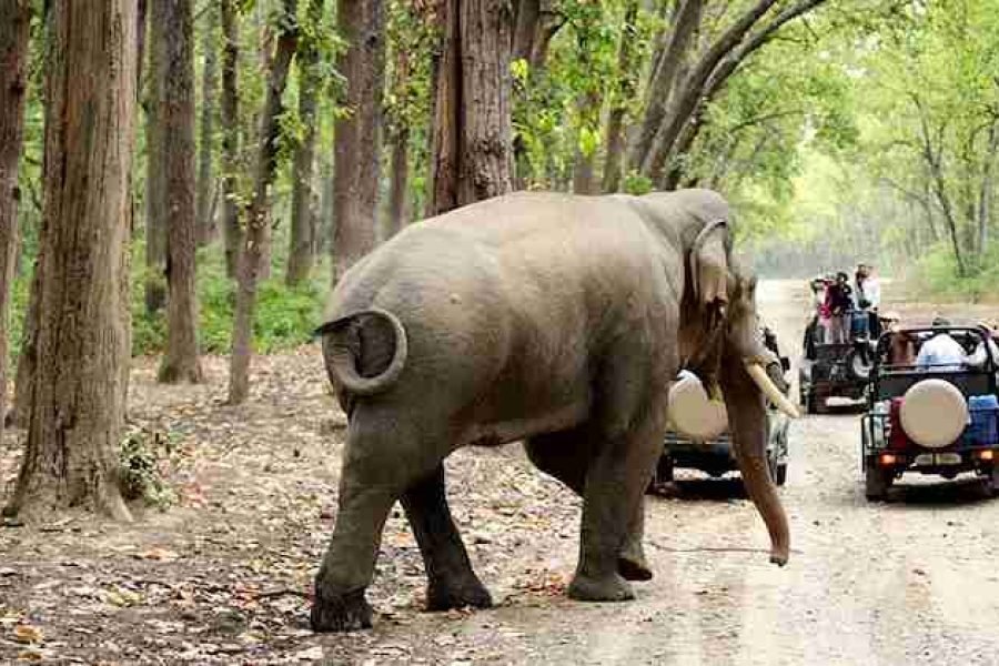 2 Nainital – 1 Corbett – 2 Mussoorie