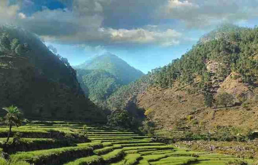 2 Nainital – 1 Ranikhet – 1 Kausani – 1 Corbett