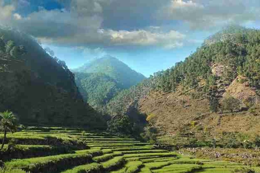 2 Nainital – 1 Ranikhet – 1 Kausani – 1 Corbett